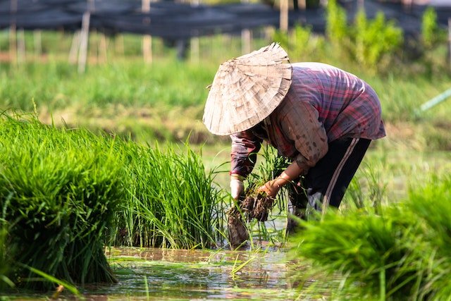 Agriculture-and-farming-businesses